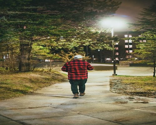 A person taking a relaxing walk in a city park surrounded by trees